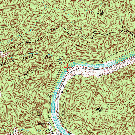 Topographic Map of Beaver Pond Branch, WV
