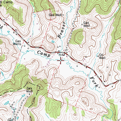 Topographic Map of Beaver Run, WV