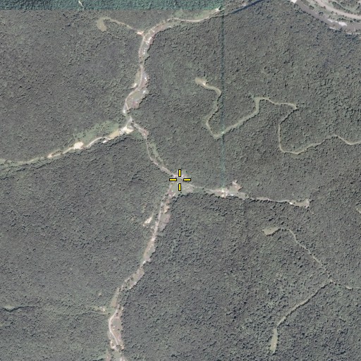 Aerial/Satellite Image of Bee Branch, WV