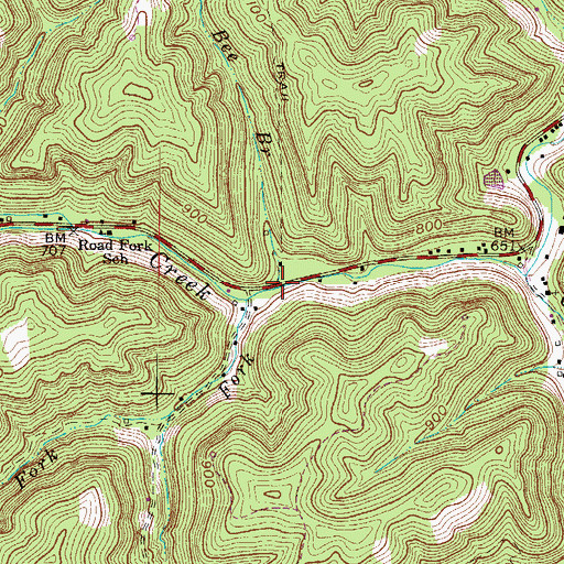 Topographic Map of Bee Branch, WV