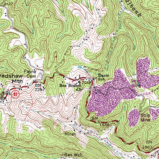 Topographic Map of Bee Branch Church, WV