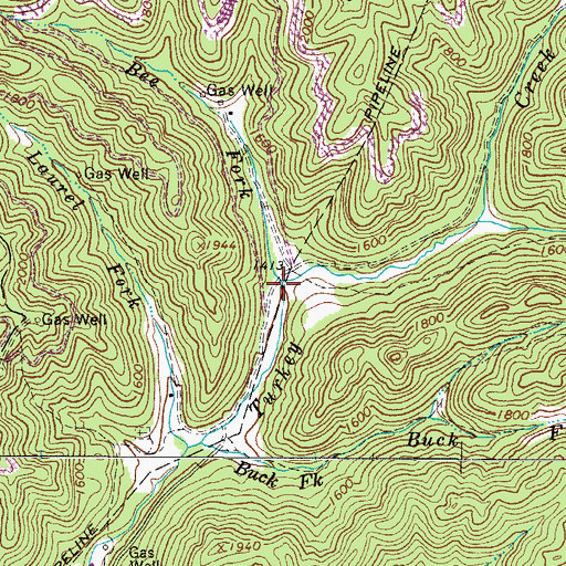 Topographic Map of Bee Fork, WV