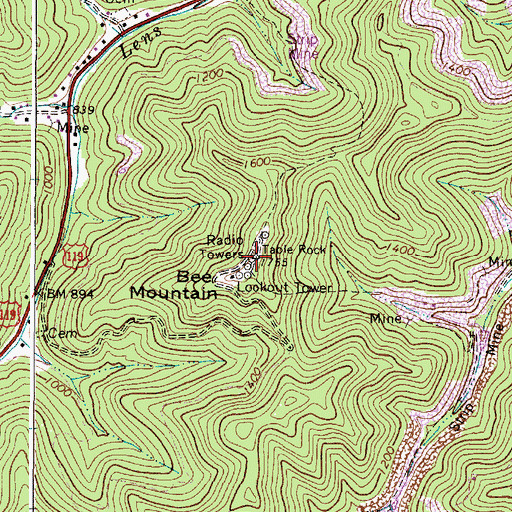 Topographic Map of Bee Mountain, WV