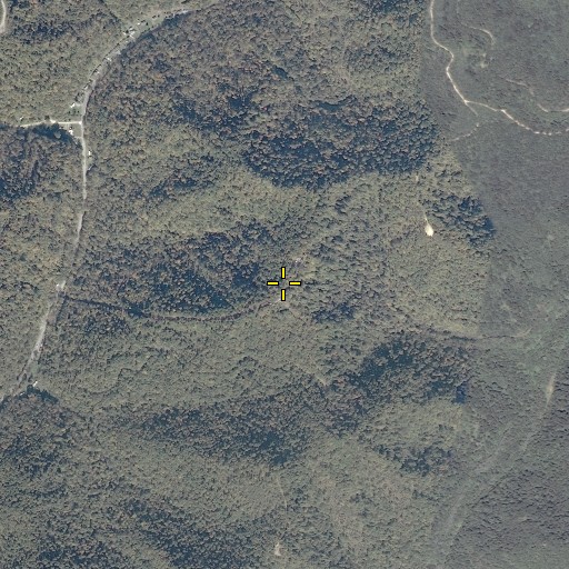Aerial/Satellite Image of Bee Mountain, WV