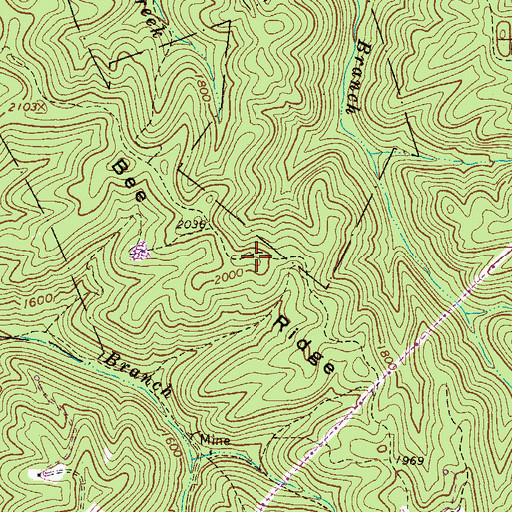 Topographic Map of Bee Ridge, WV