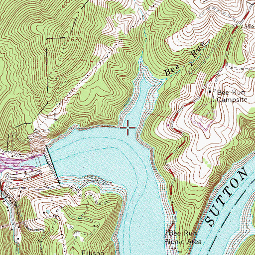 Topographic Map of Bee Run, WV