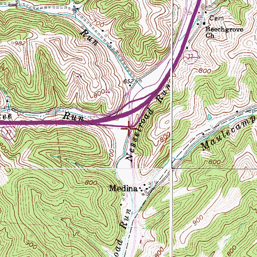 Topographic Map of Bee Run, WV