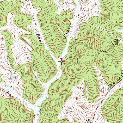 Topographic Map of Bee Run, WV