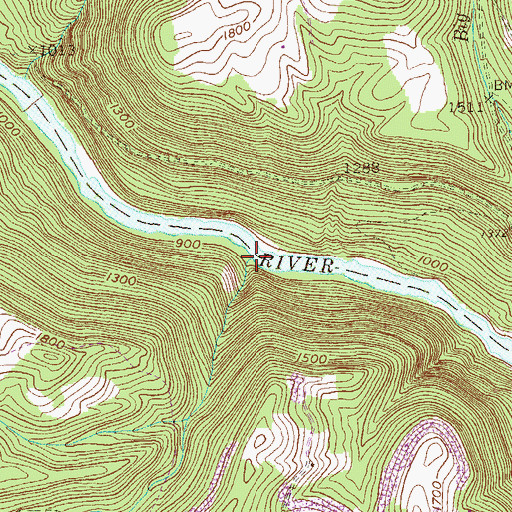 Topographic Map of Bee Run, WV