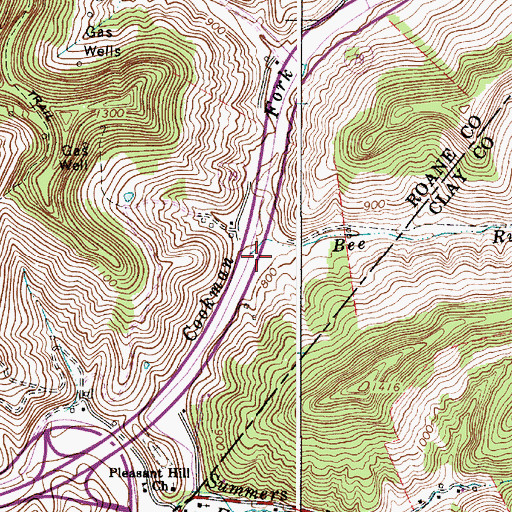 Topographic Map of Bee Run, WV