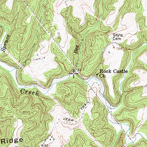 Topographic Map of Bee Run, WV