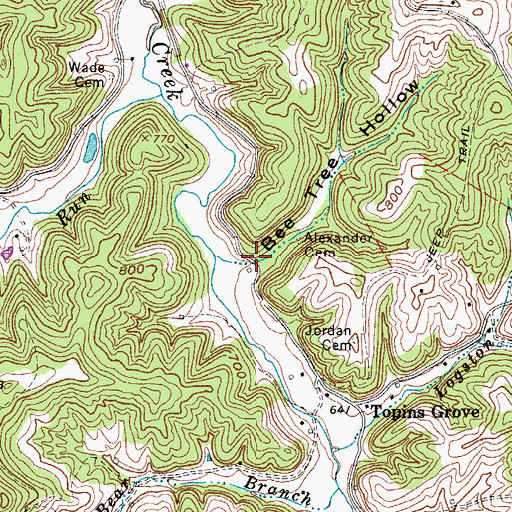 Topographic Map of Bee Tree Hollow, WV
