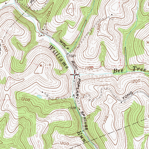 Topographic Map of Bee Tree Run, WV
