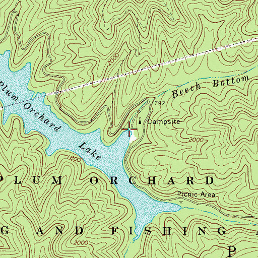 Topographic Map of Beech Bottom Branch, WV