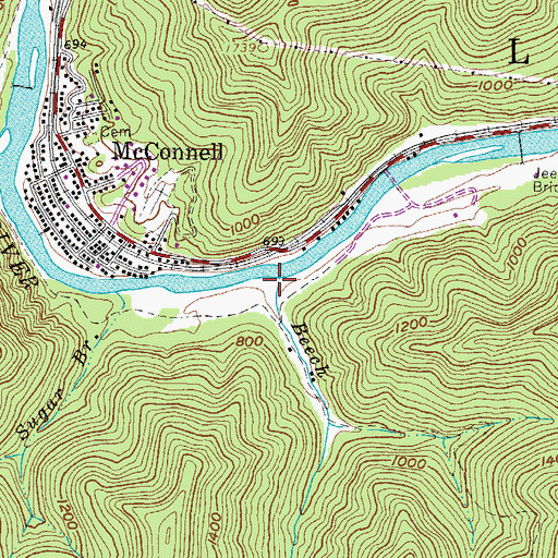 Topographic Map of Beech Branch, WV