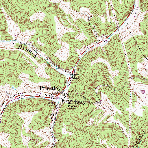 Topographic Map of Beech Branch, WV