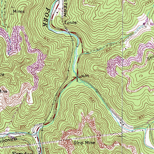 Topographic Map of Beech Fork, WV