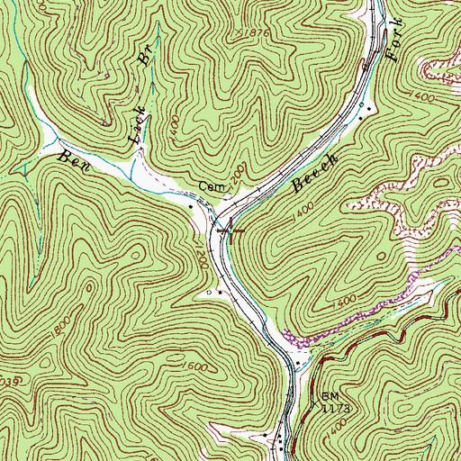 Topographic Map of Beech Fork, WV