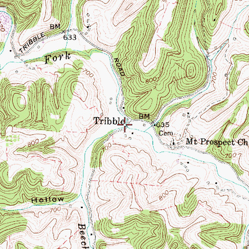 Topographic Map of Beech Fork, WV