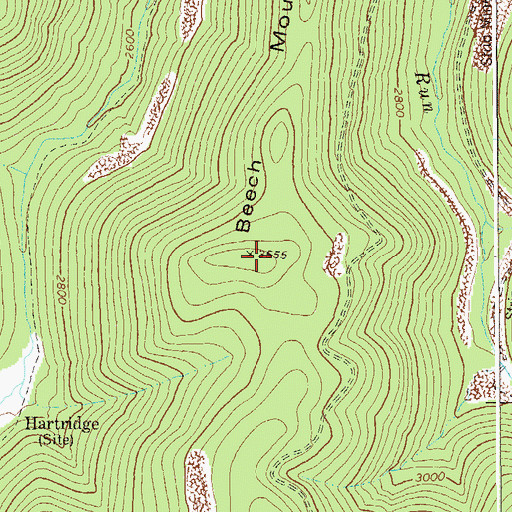 Topographic Map of Beech Mountain, WV