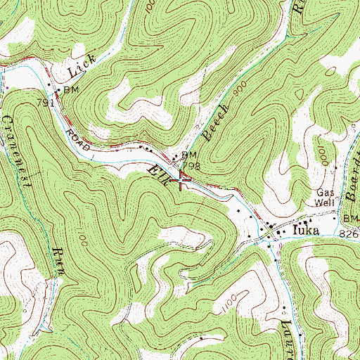 Topographic Map of Beech Run, WV