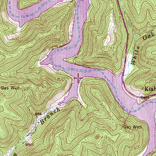 Topographic Map of Beechy Branch, WV