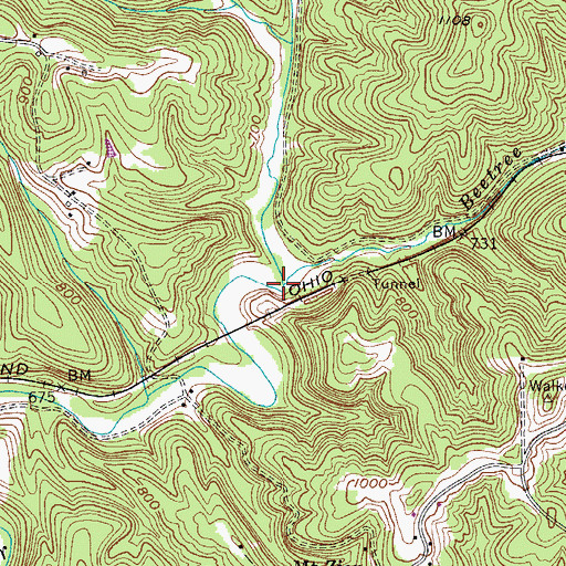 Topographic Map of Beetree Run, WV