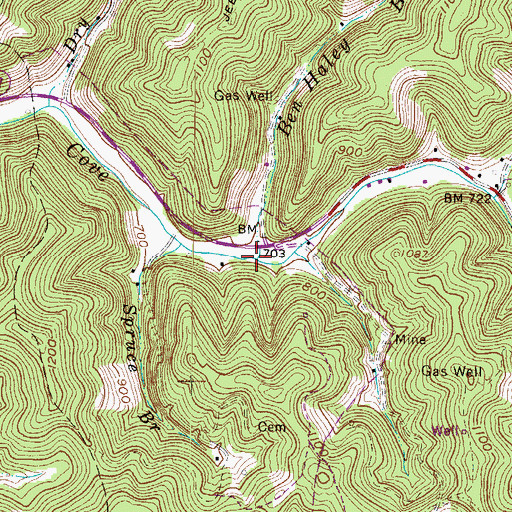 Topographic Map of Ben Haley Branch, WV