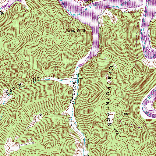 Topographic Map of Benny Branch, WV