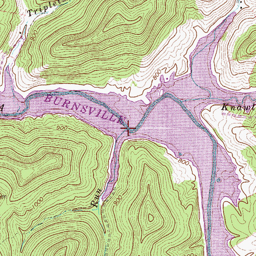 Topographic Map of Benny Run, WV