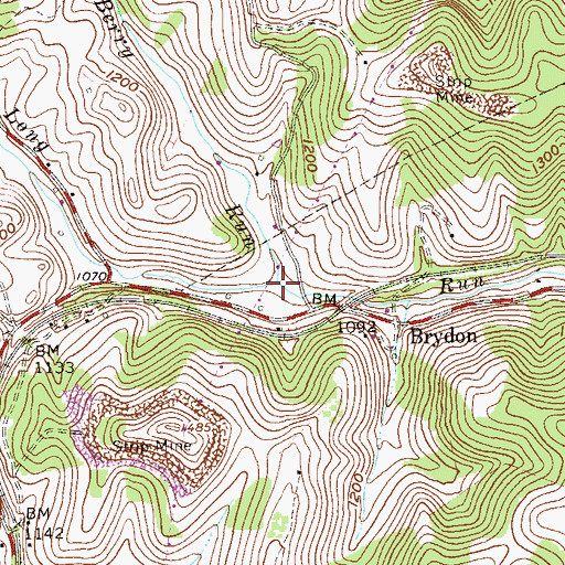 Topographic Map of Berry Run, WV