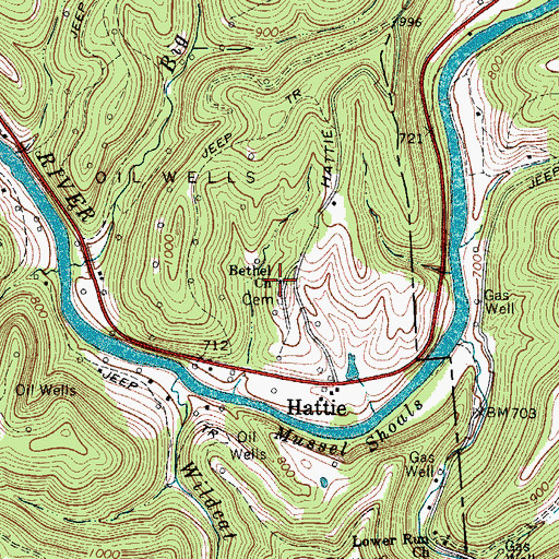 Topographic Map of Bethel Church, WV