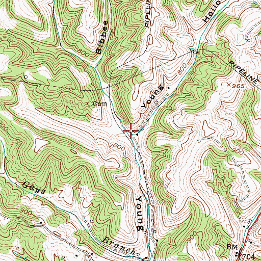 Topographic Map of Bibbee Hollow, WV