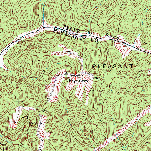 Topographic Map of Bibbys Cemetery, WV
