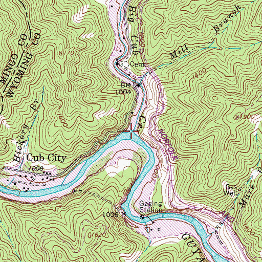 Topographic Map of Big Cub Creek, WV