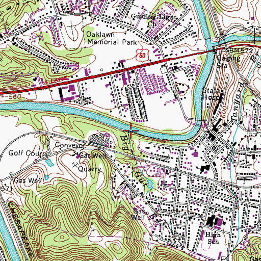 Topographic Map of Big Gut Branch, WV
