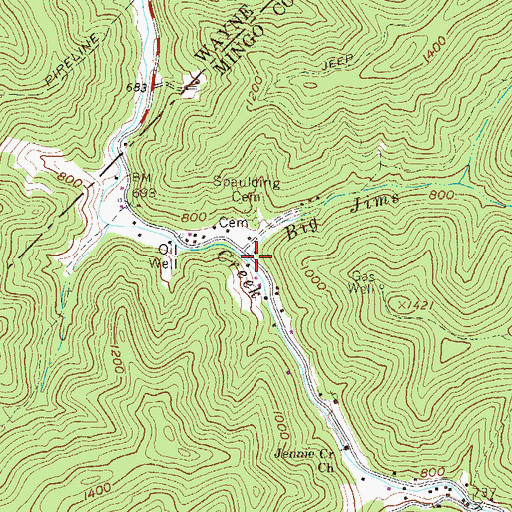 Topographic Map of Big Jims Branch, WV