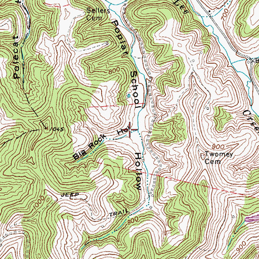 Topographic Map of Big Rock Hollow, WV