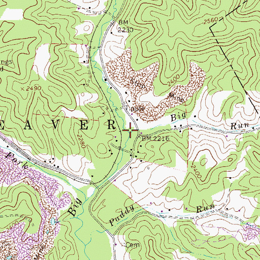 Topographic Map of Big Run, WV