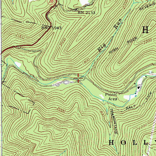 Topographic Map of Big Run, WV