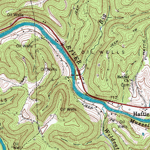 Topographic Map of Big Run, WV