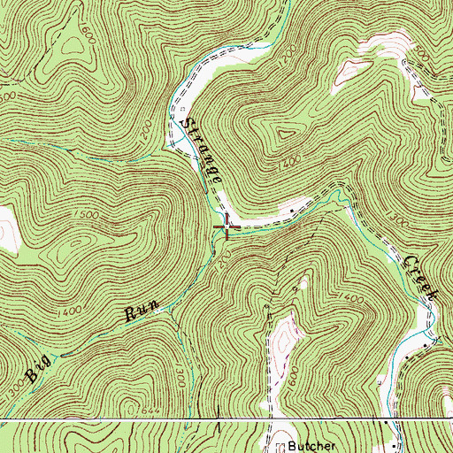 Topographic Map of Big Run, WV