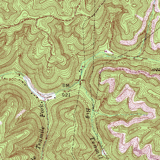 Topographic Map of Big Tenmile Fork, WV
