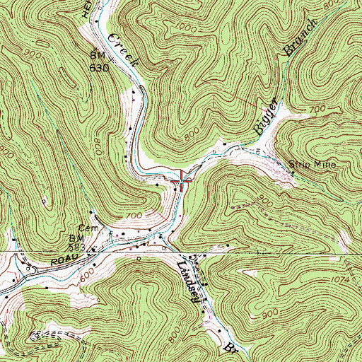 Topographic Map of Bigger Branch, WV
