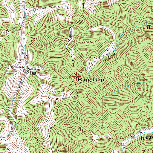 Topographic Map of Bing Gap, WV