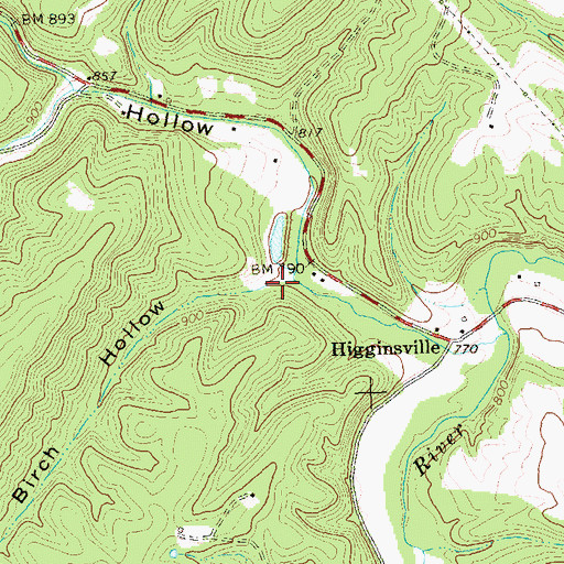 Topographic Map of Birch Hollow, WV