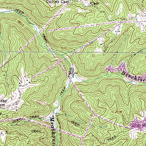 Topographic Map of Birchlick Branch, WV