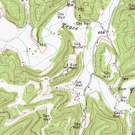 Topographic Map of Bird Cemetery, WV