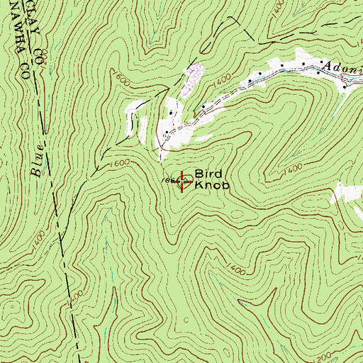 Topographic Map of Bird Knob, WV