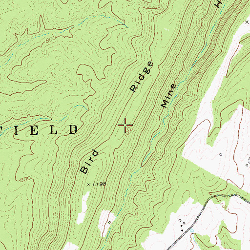 Topographic Map of Bird Ridge, WV